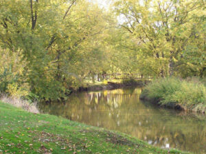 area picture 1