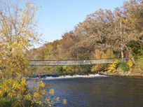 area picture 3